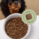 ADDVENA Boosted by superfoods Junior Small Beef - dry dog food - 2,5kg ADDVENA Boosted by superfoods Junior Small Beef - dry dog food - 2,5kg