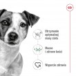 ROYAL CANIN Mini Adult - wet dog food - 12 x 85g ROYAL CANIN Mini Adult - wet dog food - 12 x 85g