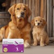 JM SANTE Multiway Vet Duocaps Osteo - twist-off capsules for joints for dogs and cats 60 pcs