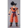 DRAGON BALL SUPER EVOLVE - SON GOKU