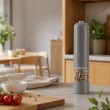 Esperanza EKP001E Gray salt and pepper grinder