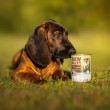 VETEXPERT Raw Paleo Puppy Monoprotein Cod - wet food for puppies - 400 g VETEXPERT Raw Paleo Puppy Monoprotein Cod - wet food for puppies - 400 g
