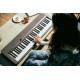 Casio CT-S1 Digital synthesizer 61 Black Casio CT-S1 Digital synthesizer 61 Black