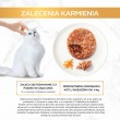 PURINA Gourmet Gold Savoury cake - wet cat food - 48x85g
