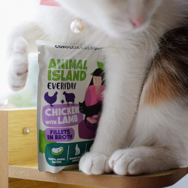 ANIMAL ISLAND Everyday Chicken with lamb in broth Box - wet cat food - 12x85g + free plate
