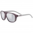 Uvex cosmic Unisex Full rim Silver