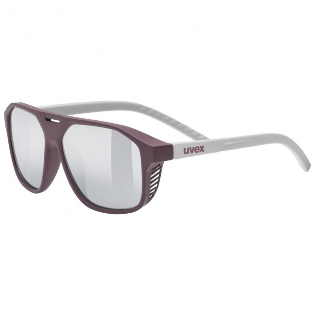 Uvex cosmic Unisex Full rim Silver