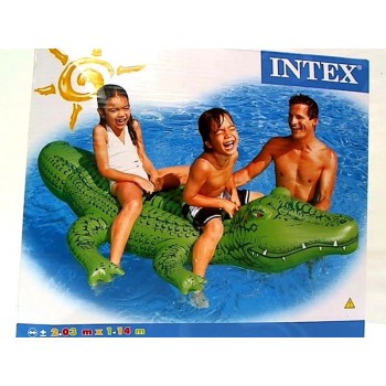 Swimming Alligator 203X114 58562 85625