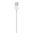 Apple Lightning to USB Cable (0.5 m) Apple Lightning to USB Cable (0.5 m)