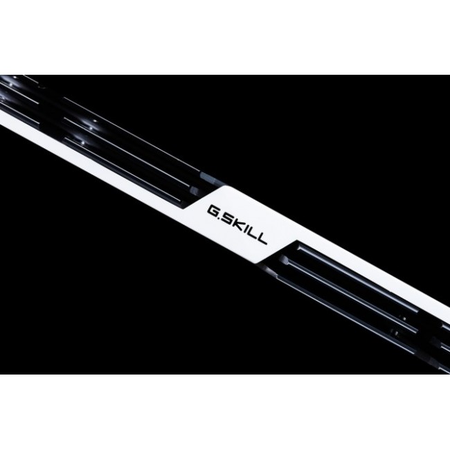 G.Skill 32GB DDR4-3200 memory module 2 x 16 GB G.Skill 32GB DDR4-3200 memory module 2 x 16 GB