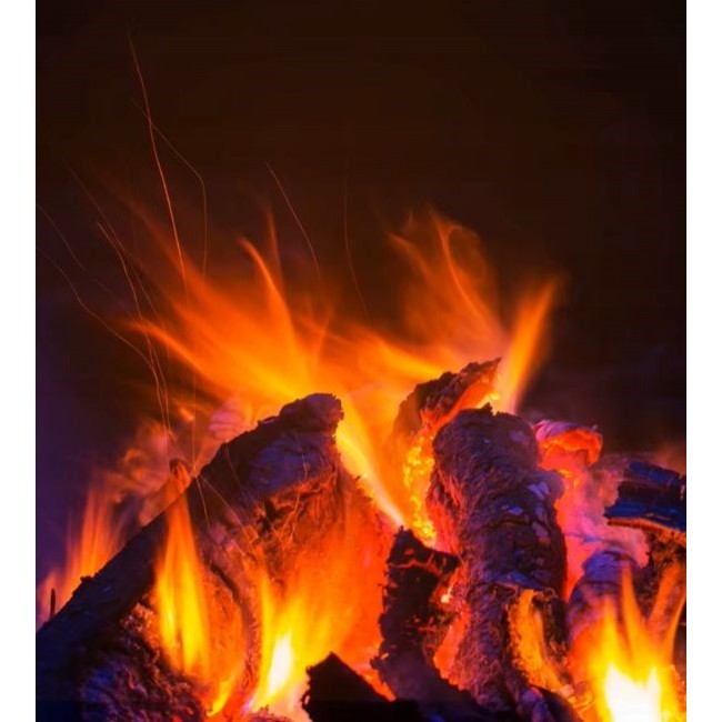 Q20P CARRUZZO electric fireplace heater