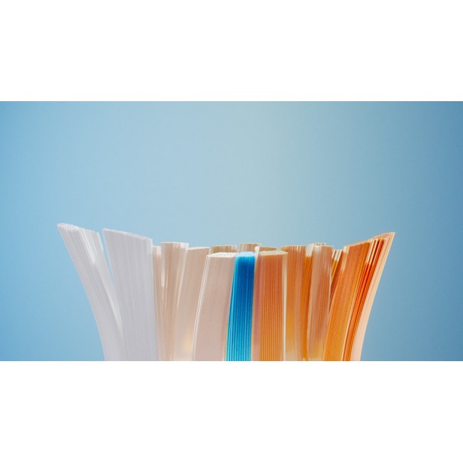 Philips Premium All-in-One HX9094/88 4 pack brush heads