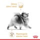 Royal Canin Pomeranian Adult - dry food for dogs - 3 kg Royal Canin Pomeranian Adult - dry food for dogs - 3 kg