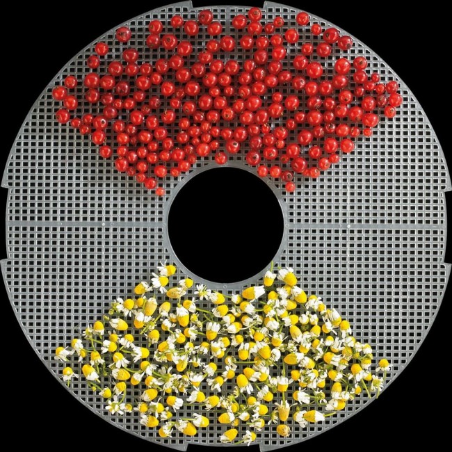 Gorenje FDK 24 DW Transparent, White 240 W Dryer