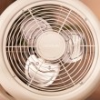 Cecotec 08205 household fan Beige Cecotec 08205 household fan Beige