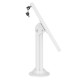 Maclean Tablet Holder Stand, Desktop Lock, W - 9.7 Maclean Tablet Holder Stand, Desktop Lock, W - 9.7