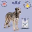 OLLO Plus Collagen Lamb - wet dog food - 400g OLLO Plus Collagen Lamb - wet dog food - 400g