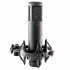 sE Electronics sE2200 Black Studio microphone