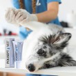 JM SANTE Polisept Vet Wound gel Silver Pro - gel dressing for dogs and cats 30 ml