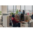 HP Poly Blackwire 3310 Monaural Microsoft Teams Certified USB-C Headset +USB-C/A Adapter