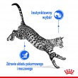 ROYAL CANIN FHN Indoor jelly - wet food for adult cats - 12x85g
