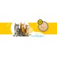 3COTY 33. Chicken Kitten - wet cat food - 180g 3COTY 33. Chicken Kitten - wet cat food - 180g