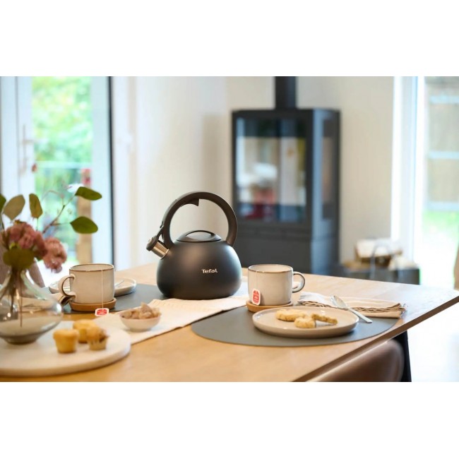 Non-Electric Kettle TEFAL N4180410, Black, Matte