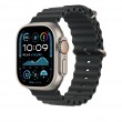 Apple 49mm Black Ocean Band Extension - Natural Titanium Finish