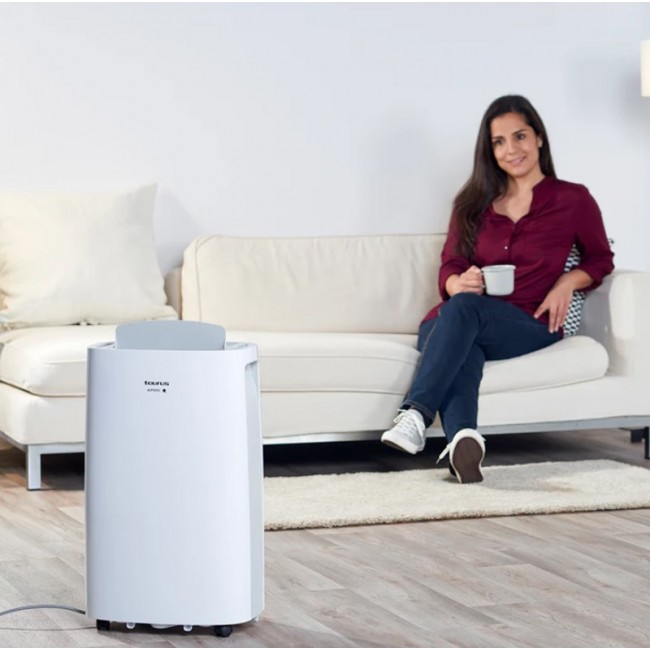 Taurus Pleasant Unique 22l Dehumidifier