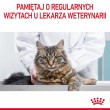 ROYAL CANIN Digestive Care Adult - dry cat food - 400g