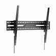 Gembird WM-100T-01 TV wall mount (tilt), 43 -100 , black