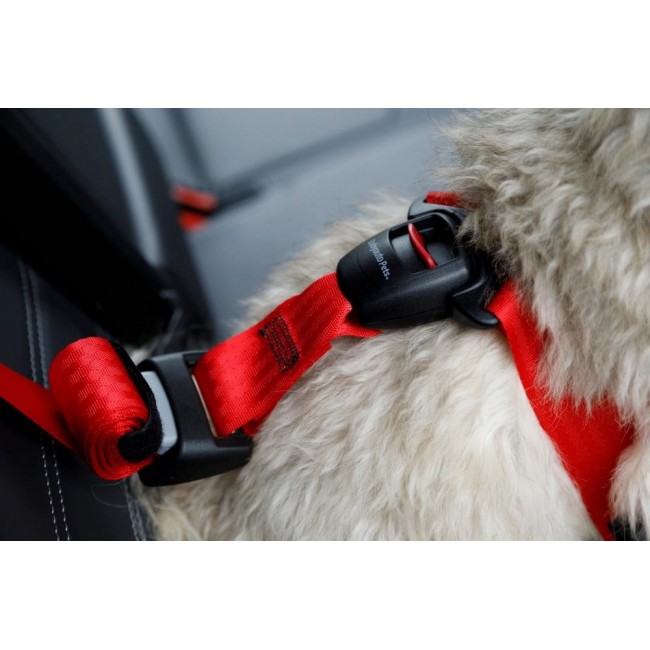 ZOLUX Travel Safe S red - dog harness