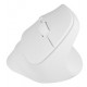 NATEC Crake 2 mouse Universal Right-hand RF Wireless + Bluetooth Optical 2400 DPI NATEC Crake 2 mouse Universal Right-hand RF Wireless + Bluetooth Optical 2400 DPI