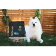 ADDVENA Taste Sensations Adult Medium/Large Turkey - dry dog food - 2,5kg