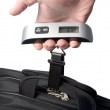 ELDOM WB10 luggage scales 50 kg Electronic