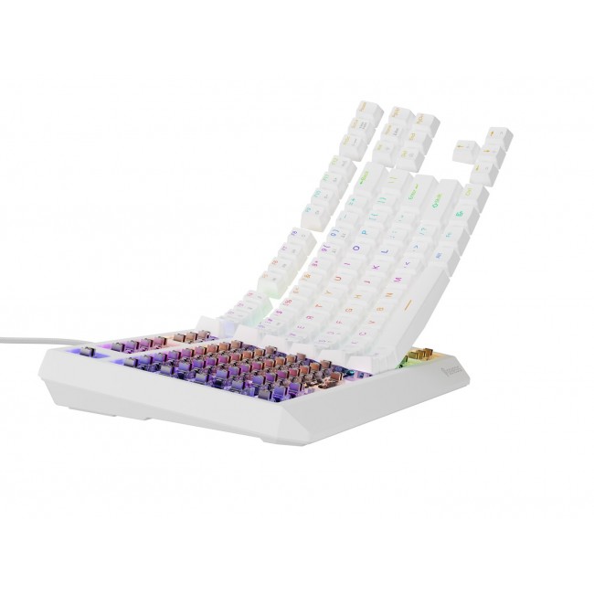 GENESIS Thor 230 TKL White Outemu Brown