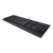 Lenovo 4Y41R64588 keyboard Home/Office USB US English Black