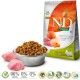 FARMINA N&D GF Pumpkin, Boar & Apple Adult Mini - dry dog food - 800 g FARMINA N&D GF Pumpkin, Boar & Apple Adult Mini - dry dog food - 800 g