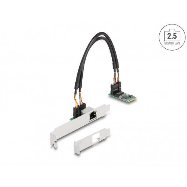 DeLOCK M.2 Key B+M 1 x RJ45 2.5 Gigabit LAN Network Card DeLOCK M.2 Key B+M 1 x RJ45 2.5 Gigabit LAN Network Card
