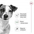 ROYAL CANIN Mini Adult +8 - dry dog food - 2 kg ROYAL CANIN Mini Adult +8 - dry dog food - 2 kg