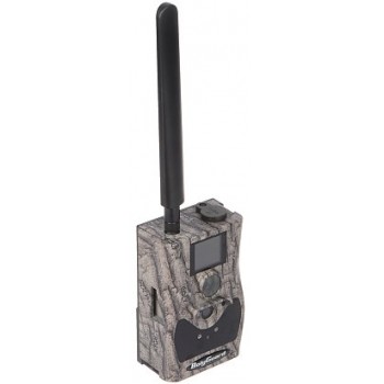 TRAIL HUNTING CAMERA/BG584