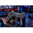 Esperanza EG106 Gaming Controller Joystick PC,Playstation 2,Playstation 3 Analogue / Digital USB 2.0 Black