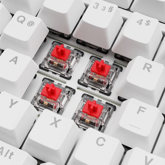 Sharkoon SGK25 keyboard Home USB QWERTZ German White