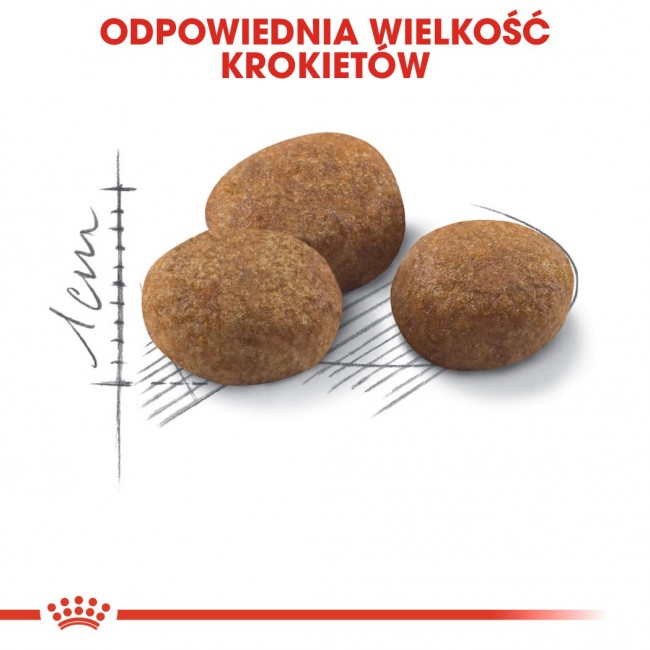ROYAL CANIN Sterilised 7+ - dry cat food - 10 kg ROYAL CANIN Sterilised 7+ - dry cat food - 10 kg