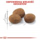 ROYAL CANIN Sterilised 7+ - dry cat food - 10 kg ROYAL CANIN Sterilised 7+ - dry cat food - 10 kg