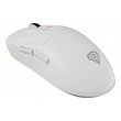 GENESIS NMG-2194 mouse Gaming Ambidextrous Bluetooth + USB Type-C Optical 26000 DPI