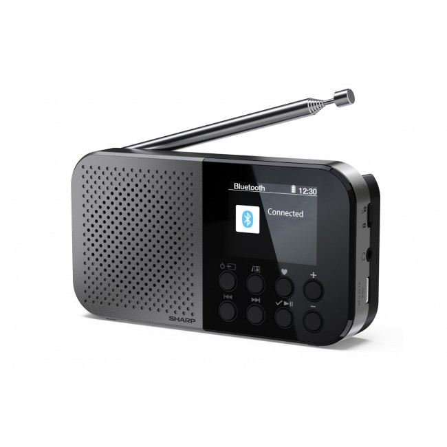 Sharp DR-P520 Personal Digital Grey Sharp DR-P520 Personal Digital Grey