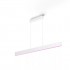 Philips Hue White and colour ambience Ensis pendant light