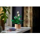 LEGO BOTANICALS 11504 Peace Lily