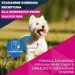 EUKANUBA Premium nutrition mature Small breed Chicken - dry dog food - 3kg EUKANUBA Premium nutrition mature Small breed Chicken - dry dog food - 3kg